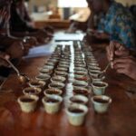 Coffee Quality Control & Cupping Techniques
